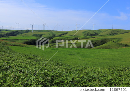 Soya Hills and Soya Cape Wind Farm Soya Hills and Soya Cape Wind Farm 11867501