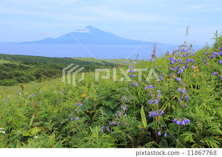 從Rebunjima / Momoiwa Promenade查看 11867768