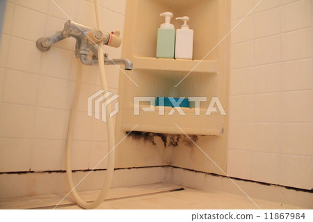 Stain Stain 11867984