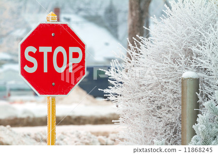 Stop sign Stop sign 11868245