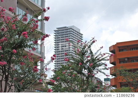 High-rise apartment beyond Mexicana 11869236