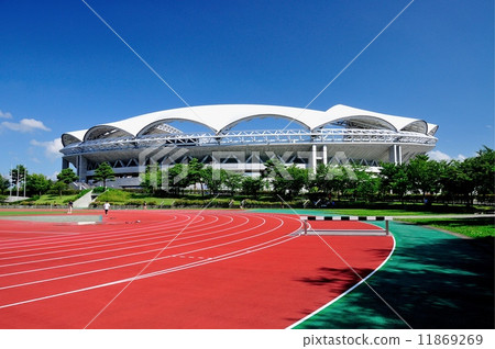 Land truck and big swan 11869269