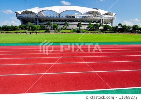 陸地卡車和大天鵝 陸地卡車和大天鵝 11869272