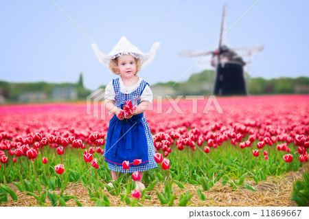Little girl in a national Dutch costume in tulips field with win Little girl in a national Dutch costume in tulips field with win 11869667