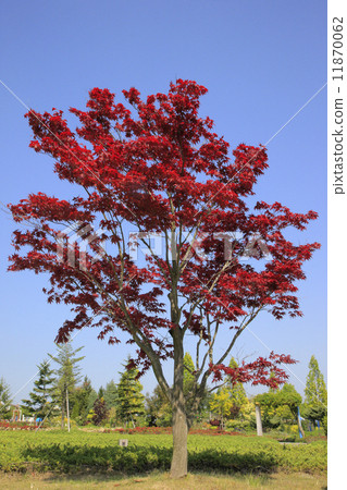 Nomuramo Misji Nomuramo Misji 11870062