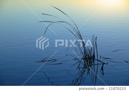 Mirror of water 11870233