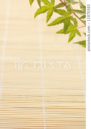 背景材料(夏季圖片) 背景材料(夏季圖片) 11870383