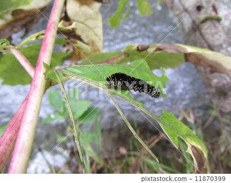 黃色升降機 黃色升降機 11870399