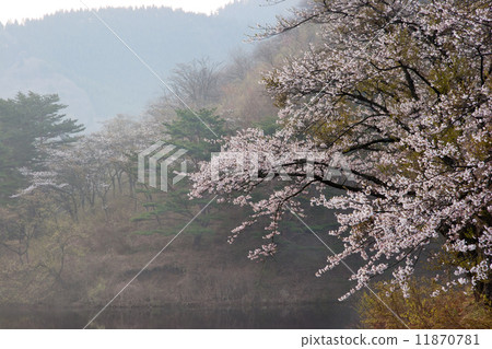 岩見水庫1 11870781