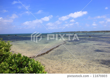 Shimogishima的魚柵欄（長崎） 11870803