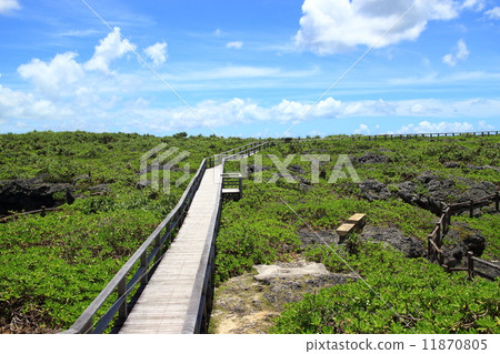 Shimochimajima Street Pond walking path 11870805