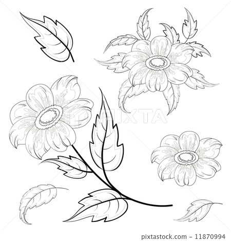 Flowers and leaves dahlia, contours 11870994