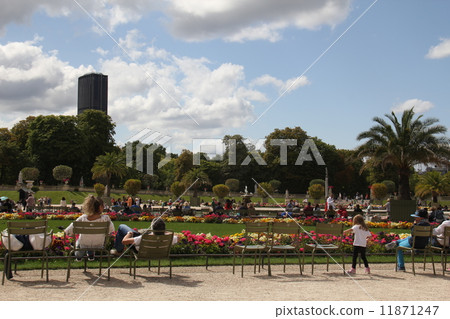 盧森堡花園花 11871247