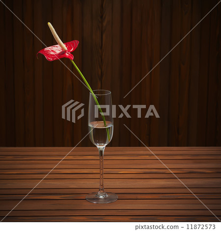 Red anthurium (Flamingo flower; Boy flower) in glass vase on woo 11872573