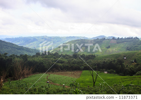 fields in the mountains fields in the mountains 11873371