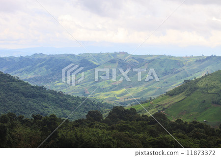 fields in the mountains fields in the mountains 11873372
