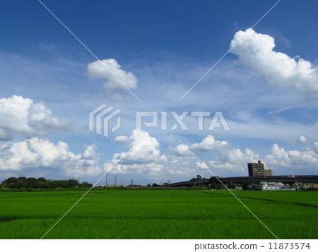 Aota的風景 11873574