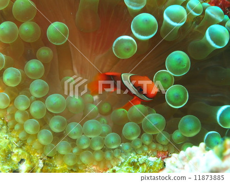 Another world 11873885