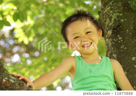 在太陽薄荷日下的傑出微笑 11873888