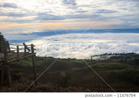 sea of fog with forests as foreground 11876704