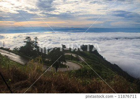 sea of fog with forests as foreground sea of fog with forests as foreground 11876711