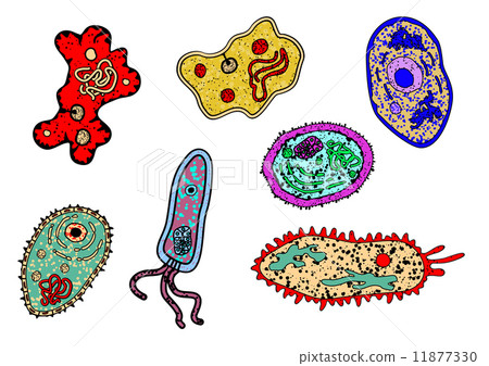 Cartoon ameba or microbial lifeforms Cartoon ameba or microbial lifeforms 11877330