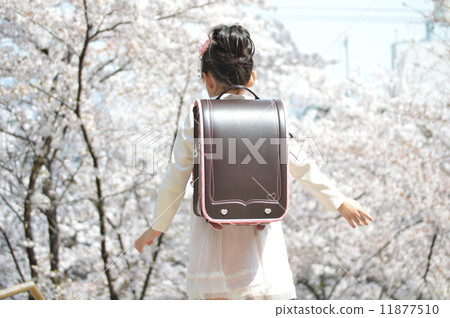 櫻花下的新生 櫻花下的新生 11877510