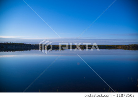 Yellow leaves and lakes of Yellowknife in Canada 11878502