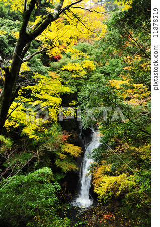 Izu Amagi / 2nd Falls 11878519