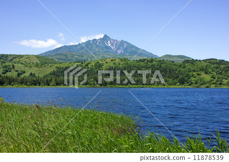 利尻島，Otadomari沼澤 11878539