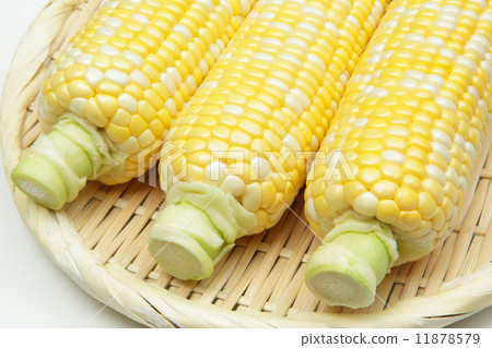 Corn from Hokkaido Corn from Hokkaido 11878579