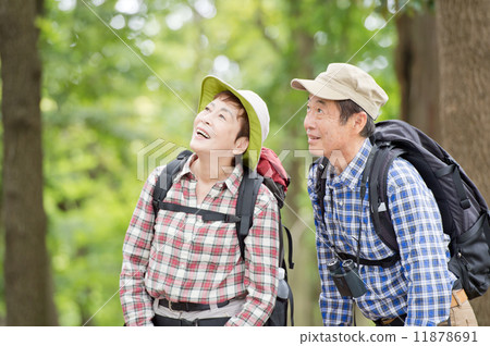 Senior couple who climbs 11878691