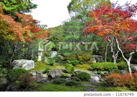 Scenery of Kyoto Nishimura family garden Scenery of Kyoto Nishimura family garden 11878749
