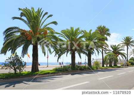 Nice coastline Nice coastline 11878920