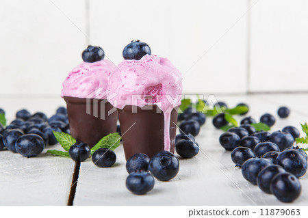 blueberry ice cream or frozen yogurt and sprig of mint, with fre 11879063