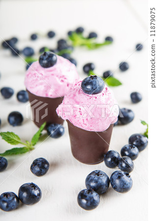 blueberry ice cream or frozen yogurt and sprig of mint, with fre 11879075