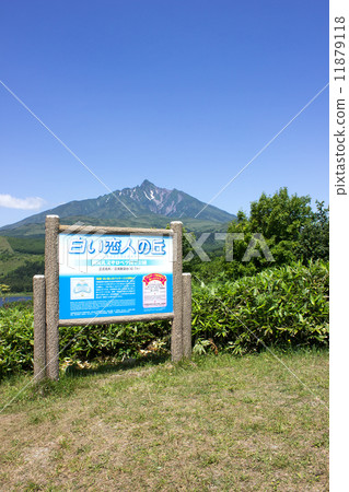 利尻島，南浦觀景台，白色情人山 11879118
