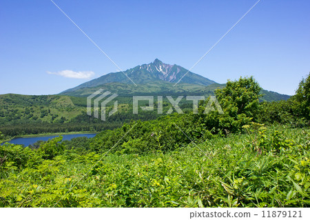 利尻島，南浦觀景台，白色情人山 11879121