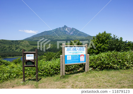 利尻島,南浦觀景台,白色情人山 利尻島,南浦觀景台,白色情人山 11879123