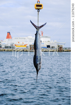 Fish raised Fish raised 11879240