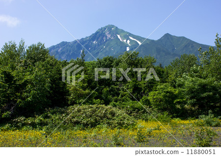 利尻島,野崎天文台 利尻島,野崎天文台 11880051