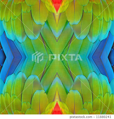 seamless pattern 11880241