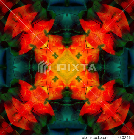 seamless pattern seamless pattern 11880246