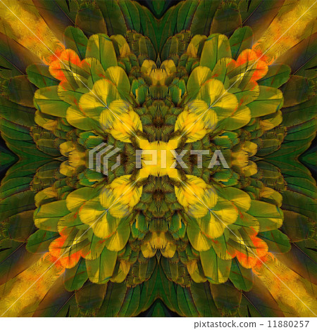 seamless pattern 11880257