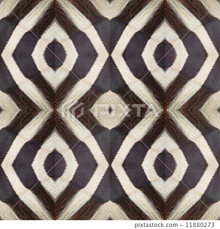 seamless pattern seamless pattern 11880273