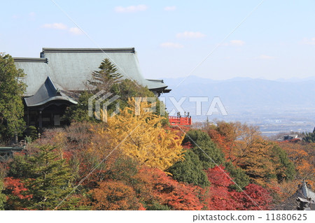 Autumn leaves of Chogosonshiji Temple 11880625