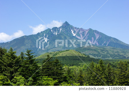 利尻島，利尻山南嶺從Minamihama沼澤地的慾望 11880928