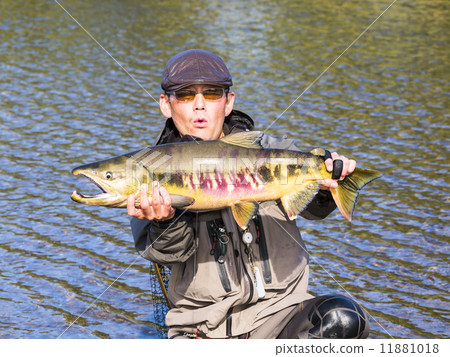 Angler (Fishing Horizontal) 11881018