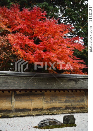 Ryoanji Temple 11881214