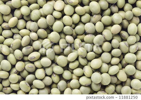 Blue soybeans 11881250